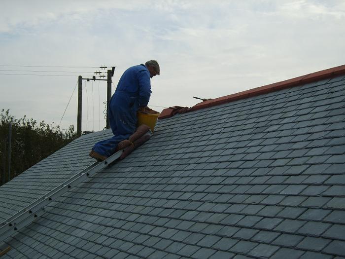 8 Roof Windows & Doors (50)